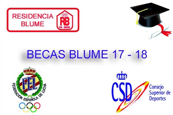 Becas BLUME 17-18